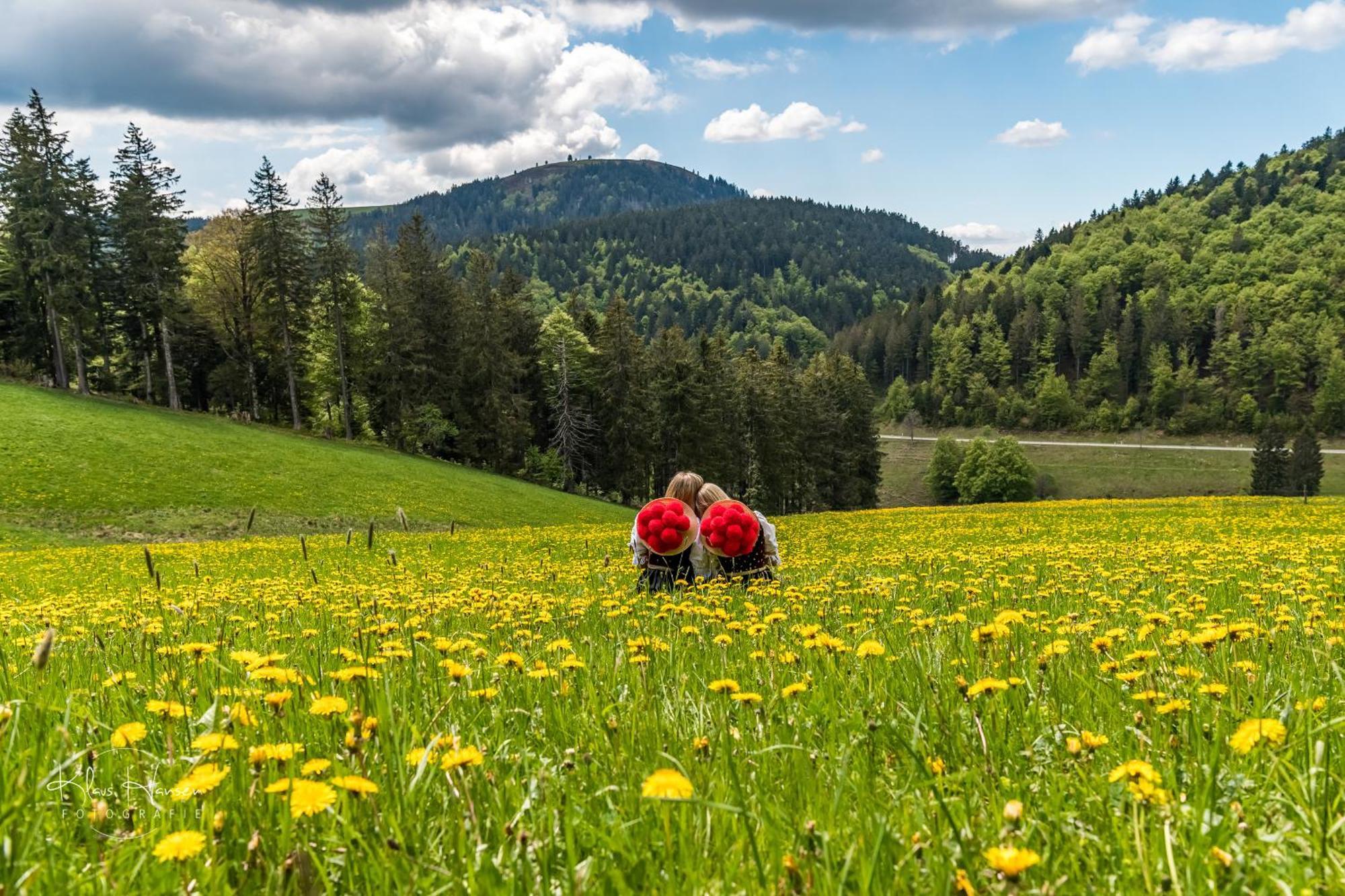 Вилла Schwarzwaldhaus Sonnenstrasse, Oberried-Hofsgrund, Dreisamtal Оберрид Экстерьер фото