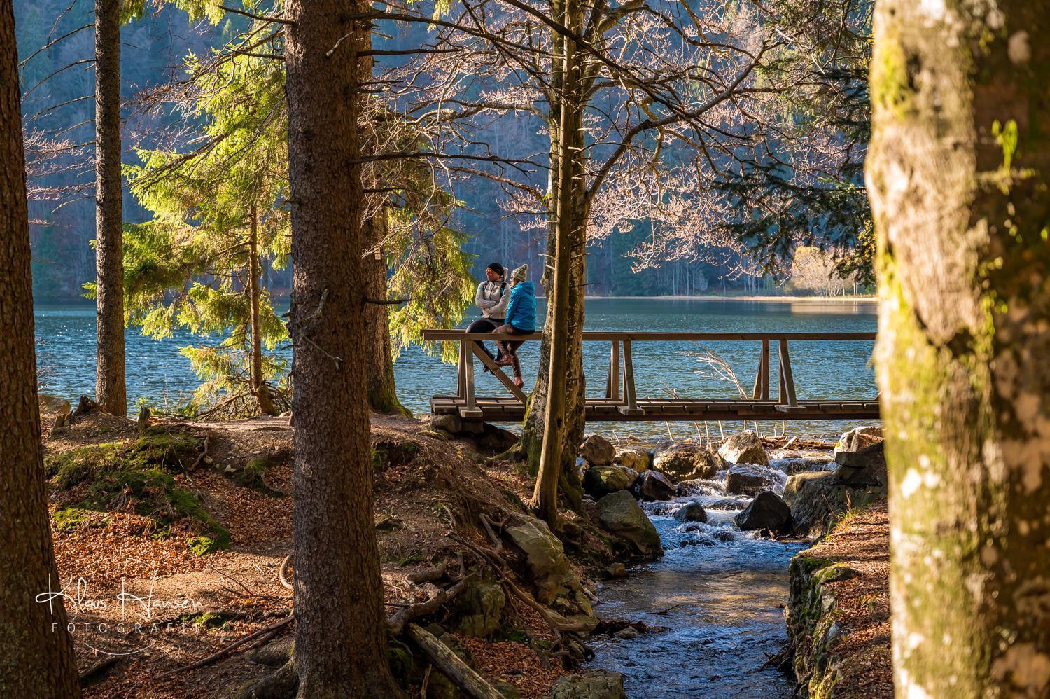 Вилла Schwarzwaldhaus Sonnenstrasse, Oberried-Hofsgrund, Dreisamtal Оберрид Экстерьер фото